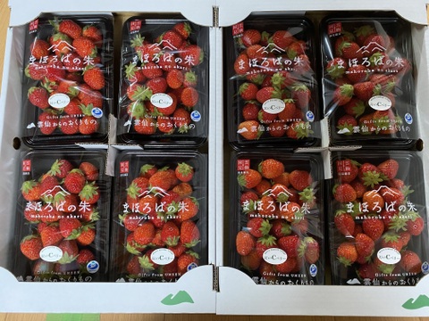 春はまほろば🍓やうやう朱くなりゆく勾玉 おいCベリー200g×8パック【小粒1.6㎏】