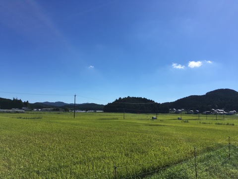 奥三河つくで産 特Aミネアサヒ(5kg)