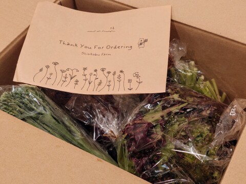 旅する畑から届く、季節の彩り野菜セット（7-8種類）