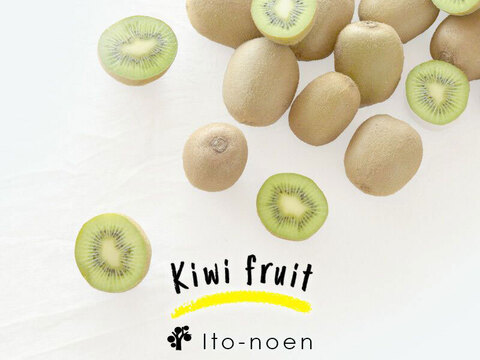 家庭用（訳あり品）キウイ［レインボーレッド］ミックスサイズ1kg 370-1rw