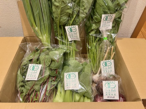 採れたて！旬の有機野菜の詰め合わせ（お試し6種）