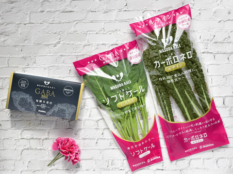 【機能性表示食品セット】高めの血圧が気になる方へ。ぼやけ、かすみが気になる方へ。旬搾り青汁GABAケール、ソフトケールGABA、カーボロネロルテイン「健康に気をつけて元気でいてね！」【母の日ギフト！】