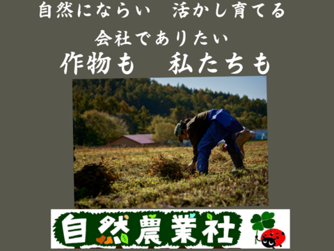 有機小豆800ｇ (400g袋×2）北海道の大地で育ったふっくら柔らか「きたろまん」 １２月１８日ころから発送を開始予定 　　令和７年度産