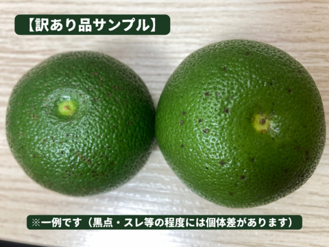 ※訳あり品　長門ゆずきち【栽培期間中農薬不使用・自然栽培米の米ぬかと畑の草でマルチをして育てています】約１
kg（まずはお試しに）料理人が惚れ込んだ、山口県の希少な香酸柑橘