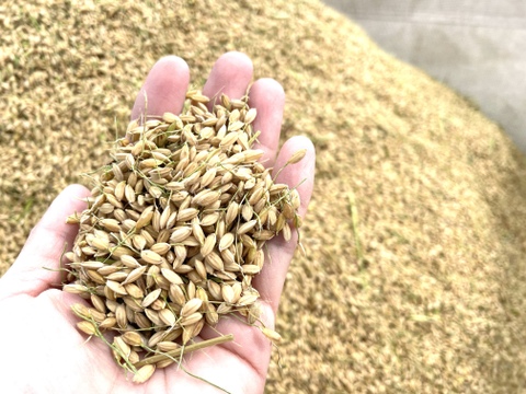 米粉 ISATOのイセヒカリ100%(1kg ×12)～オーガニックが当たり前の未来に～