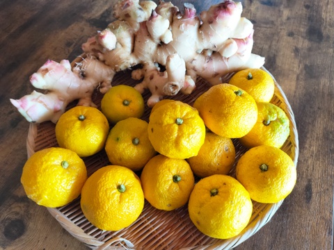 温活🍊🫚【福袋】新生姜＆柚子のぽかぽかセット♨️《岡山県産》（計1.7kg）