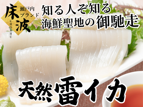 【プロの技に裏打ちされた判断】目利き料理人基準で選び抜かれた至の一品🌊天然国産『雷イカ』長州床波ブランドお試し約200g【5月下旬予約】