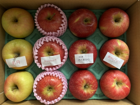 🎊発送中🎊【限定100】リンゴ食べ比べ🍎3キロ箱 6玉〜15玉サイズ 商品ID48414 長野県 信州 安曇野 リンゴ 幻 幻のリンゴ 予約 希少 旬 食べ比べ 詰め合わせ 贈答 家庭用