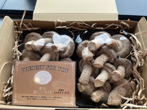 【父の日ギフト】大田区で収穫！東京福しいたけギフト用（600g・パック包装）