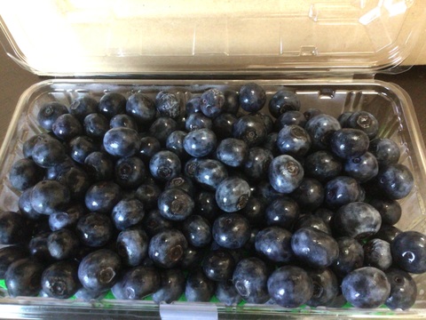 まじりっけなし！自然栽培『ジャム用 生ブルーベリー』1kg