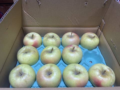 青森県産『ぐんま名月』 家庭用🍏 糖度15度以上！甘～い！ 3㎏k(8～12玉)  【令和8年産早期予約受付！】