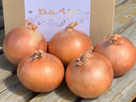 淡路島産トウモロコシと完熟玉ねぎキラ玉のセット！