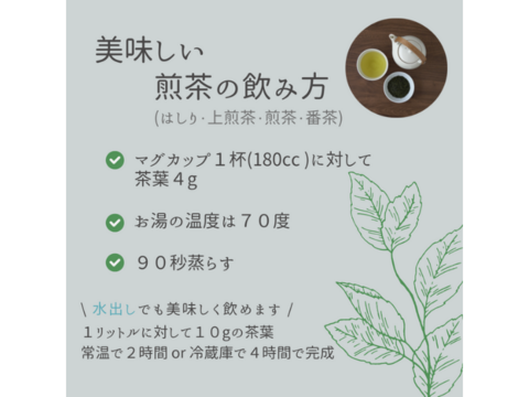 新茶【農薬・化学肥料不使用】上煎茶 やぶきた 静岡県産 100g 2本セット