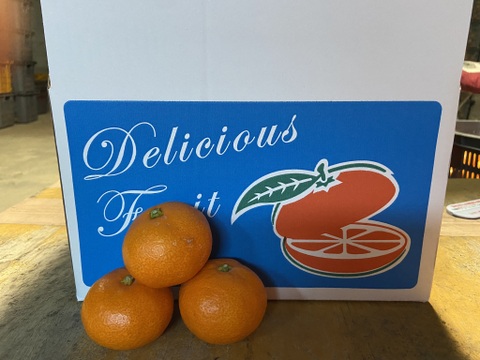 とってもいい香り！あまい！ジャンボなおひめ様【大玉】はれひめ（３ｋｇ）サンプル平均糖度１２度以上