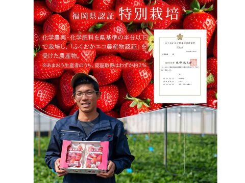 紅白極上あまおう400ｇ　～ベロアギフトボックス～【冬ギフト】