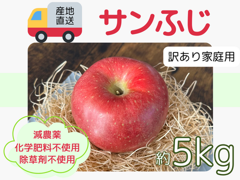 生産農家直送 りんご サンふじ 訳あり 家庭用 5kg 長野県産 信州りんご発祥の地 化学肥料不使用 除草剤不使用 人にやさしく環境にもやさしい