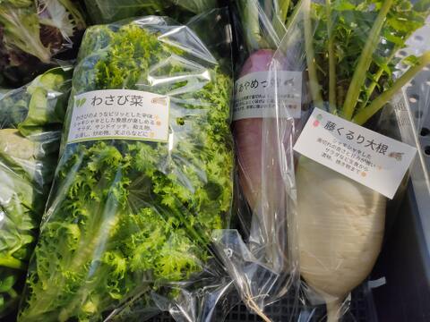 ✨【農家厳選】瑞々しさが自慢。毎日使える旬の野菜詰め合わせ（4～5品）✨