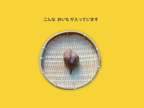 ＜訳あり・規格外＞taneco 熟成 種子島安納いも（生いも） 【Sサイズ以下・５kg】