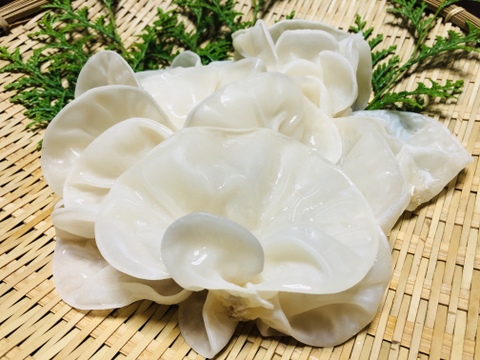 【食べ比べ】コリコリ★プリプリ☆徳島県産乾燥きくらげ白黒30g×6