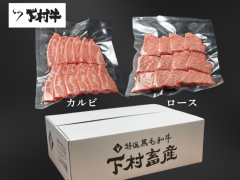 黒毛和牛『下村牛』焼肉2種食べ比べセットB（カルビ・ロース）計500g