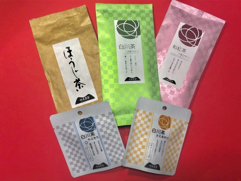 飲み比べ 白川茶で 好みのお茶を見つけてみよう!