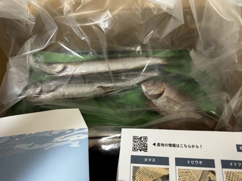 下処理⇒即日発送！旬の地魚ボックス2~3kg