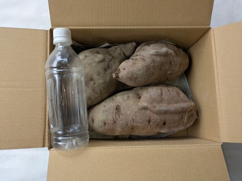 【規格外】鮮やかな紫色！紫芋（あやむらさき）4kg　特大