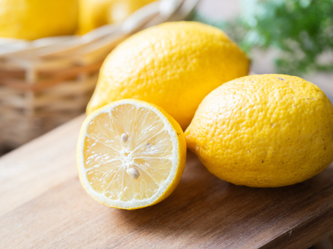 【本格LEMON SYRUP 】レモンシロップ〜レモンピール＆国産はちみつ入り〜60g×6袋