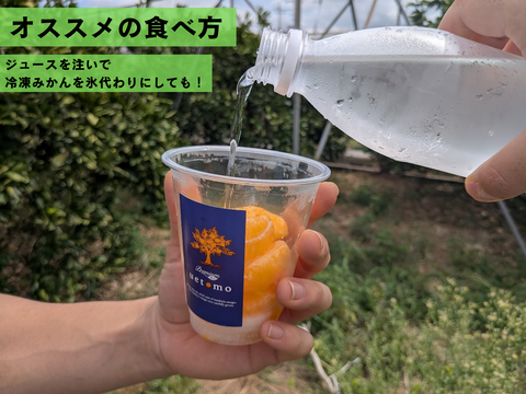 残暑を健康的に乗り切る！ふさ分け冷凍みかん（100g×12カップ）