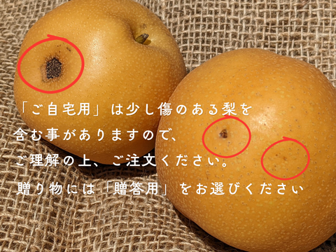 【静岡県産】志太梨（ご自宅用5kg前後）