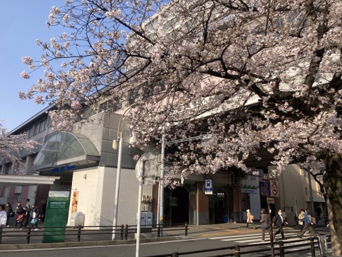 【新規のみ】4周年&祝🎊合格記念