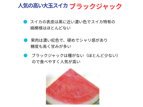 【予約】おいしい尾花沢大玉スイカ 種のない(少ない)ブラックジャック 2~3L 2玉 12~14㎏