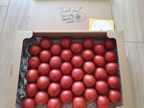 【すぐに出荷】【旨トマト3kg】お買い得☆ジューシーで旨味あるトマト！サラダやパスタにも！（２０～４５玉）