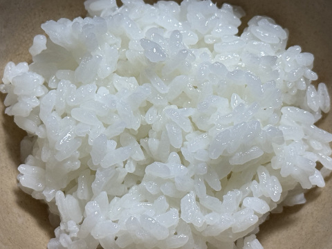 【令和7年】ミルキークイーン・再生二期作・白米無洗米（10kg）【栽培期間中　農薬・化学肥料不使用】