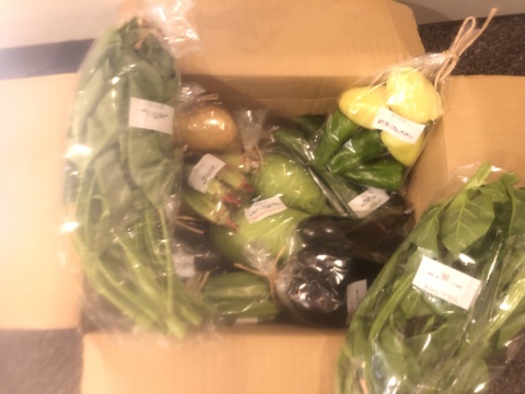 自然栽培野菜Mセット7～9種類