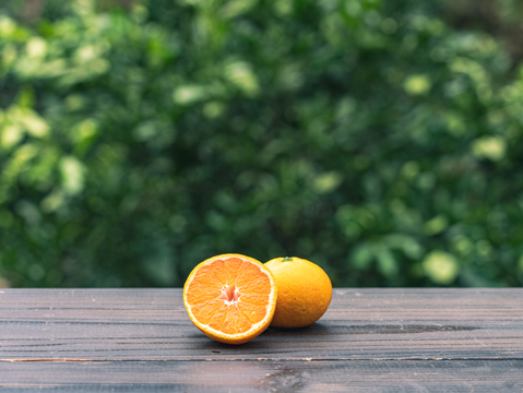 ■限定10箱■【EHIME UWAJIMA】とろ甘の樹上完熟ゆら早生Aセレクション（家庭用)
2.7kg