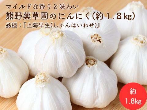 マイルドな香りと味わい♪三重県産にんにく『上海早生(しゃんはいわせ)』(S～Mサイズ・約１.8㎏)