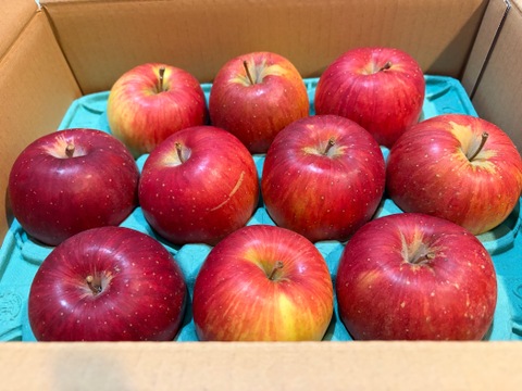 「シナノスイート」お徳用訳あり家庭用3キロ　まだまだ美味しい美味しさkeep！スマートフレッシュ鮮度保持貯蔵 10個から12個入り　甘くてジューシー　　ご好評販売中