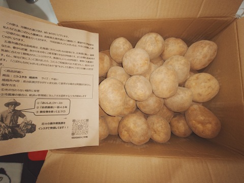 《規格外》５KG  品種ニシユタカ 五島列島産 自然農業での栽培
