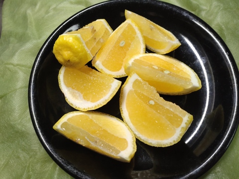 広島県産　はるか　10kg(箱込み)