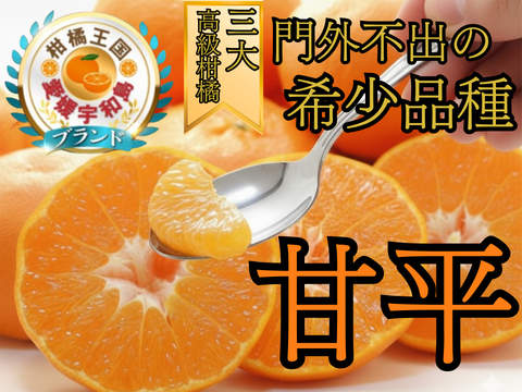 【愛媛門外不出の幻柑橘】三大高級柑橘『甘平』香り控えめで甘み爆発☆噛むたびシャキッと甘い！探しても見つからないみかん🍊お試しキャンペーン約1㎏