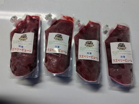 信州上田産 ラズベリーピューレ（種抜き・無加糖）250g×4袋 小分けパック お菓子作りに