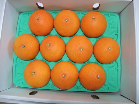 とろける・プル甘！ひめまる愛果まどんな（家庭用約３Kg）