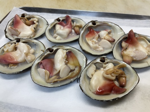 ホッキ貝/スチーム処理済/ハーフシェル/200～300ｇ/5個/そのまま焼きやBBQ可能【冷凍】