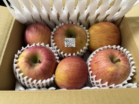 信州りんご🍎少量約1.5キロ(6～8個)
