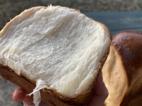 【小麦農家の朝食パン】食事パンセット&チャイマサラ付