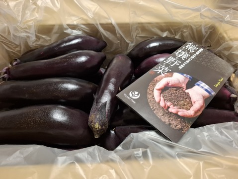 【お買い得】大人気！熊本産ナス(5kg)【B品】