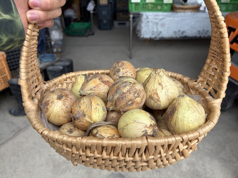 丸ごとスープに！【Big Time Onion】お得用詰め合わせセット　2kg