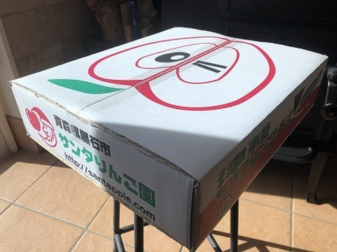 農家直送　青森りんご　王林(おうりん)　贈答用　約５キロ　同名タレントさんの活躍で、知名度抜群の甘いりんご！