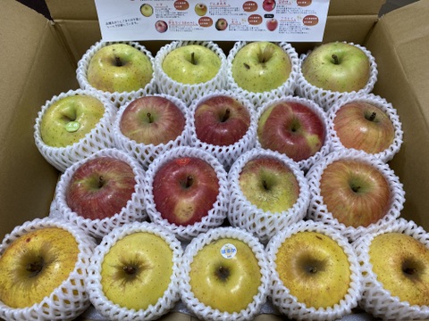 農薬5割減・化学肥料不使用の特別栽培りんご🍎🍏おまかせりんご3種食べ比べ5kg🍎🍏 訳ありご家庭用 りんご詰合せ 化学肥料不使用 青森県特別栽培認証 皮ごとおいしい🍴